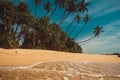 Ocean Coast with coconut palm trees. Tropical vacation, nature background. Soft wave on wild deserted untouched beach. Paradise id Royalty Free Stock Photo