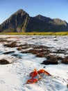 Ocean coast Mountain, Norway