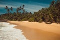 Ocean Coast with pandanus and coconut palm trees. Tropical vacation, holiday background. Wild deserted untouched beach. Paradise i Royalty Free Stock Photo