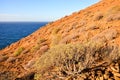 Ocean Coast`s View Montana Amarilla Tenerife Royalty Free Stock Photo