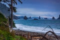 Ocean coast and sea stacks Royalty Free Stock Photo