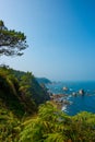 Ocean coast with water pine and fir on the hills