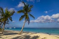 Ocean coast of Zanzibar island. Village Kendwa. Tanzania. Africa