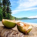 Ocean coconut