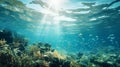 Ocean conservation Efforts to protect marine habitats thrive.AI Generated