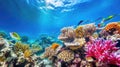 Ocean coral reef underwater. Sea world under water background. Beautiful view of sea life. Ecosystem. AI photography Royalty Free Stock Photo