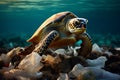 Ocean crisis Plastic pollution impacts sea turtles and marine life