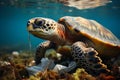 Ocean crisis Plastic pollution impacts sea turtles and marine life