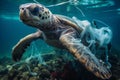 Sea turtle caught in a plastic bag trap. Photo underwater Royalty Free Stock Photo