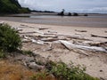 Ocean Driftwood at an Oregon Oceanside with a beach Royalty Free Stock Photo