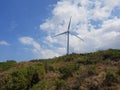 Ocean facing power windmill, Bangui windmill farm.