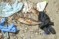 Ocean Fish dead eating alkaline battery on plastic debris polluted sea habitat, waste