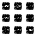 Ocean fish icons set, grunge style Royalty Free Stock Photo