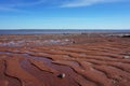 Ocean floor as seen at low tide in the Bay of Fundy Nova Scotia, Canada Royalty Free Stock Photo