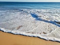 Ocean foam covering beautiful sandy beach. Closeup