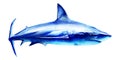 Ocean great white shark in the deep blue water, side view, big fish predator, hand drawn watercolor illustration on