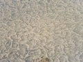 Pattern created by tide water on sand Royalty Free Stock Photo