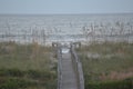 Surfers pass across the open end of the boardwalk on a North Florida beach. Royalty Free Stock Photo
