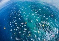 Ocean infested with plastic waste and microplastics