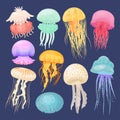 Ocean jellyfish bright set on dark blue Royalty Free Stock Photo