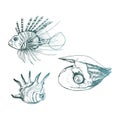 Ocean Life and Marine Creatures with Lionfish and Shell Vector Set