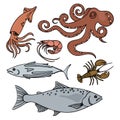 OCEAN LIFE Sea Animals Healthy Seafood Vector Illustration Set