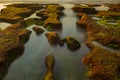 Ocean during low tide. Waterscape. Clear water with stones and rocks. Stones covered by seaweed. Sunset time at the beach. Pure Royalty Free Stock Photo