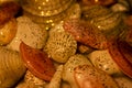 Ocean mollusk shells. Seashells. Seashell background. Texture of the shells. Seashell background. Colorful sea shells as