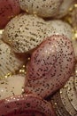 Ocean mollusk shells. Seashells. Seashell background. Texture of the shells. Seashell background. Colorful sea shells as