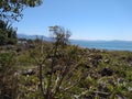 The ocean and the mountain