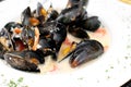Ocean mussels dish cooked Royalty Free Stock Photo
