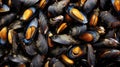 ocean mussels seafood food freshly