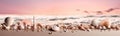 ocean nature summer sea tropical sand holiday beach banner shell. Generative AI. Royalty Free Stock Photo