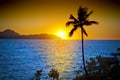 Ocean Palm Tree Tropical Sunset Sky