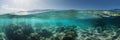 ocean panoramic view from under the water with the visible border of the water and sky. Generative AI Royalty Free Stock Photo