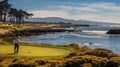 ocean pebble beach landscape