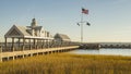 Pier long wharf with custom house dock in marsh grass