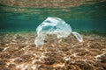 Ocean pollution concept, plastic bag floating in the water Royalty Free Stock Photo