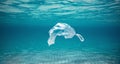 Ocean pollution concept, plastic bag floating in the water Royalty Free Stock Photo