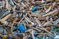 Ocean pollution - trash and waste on polluted beach closeup Royalty Free Stock Photo