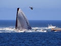 Ocean racing Yacht, 2022 Sydney to Hobart Race, Australia