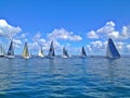 Ocean regatta