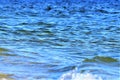 Ocean ripples, endless blue ocean waters, small waves Royalty Free Stock Photo