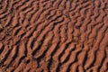 Ocean ripples in mudflats