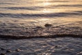 Ocean ripples at the sunset Royalty Free Stock Photo