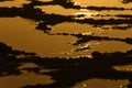 Rock Pools Filled With Liquid Sunset Gold