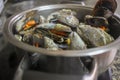 Ocean\'s Bounty: Steamed Mussels Perfection in a Pot