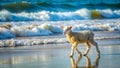 The Ocean\'s Symphony: A Lamb\'s Harmonious Journey Generative AI
