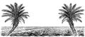 Ocean or sea beach with palms, panoramic vector view. Royalty Free Stock Photo