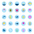 Ocean or sea logo with with animals and fish, shellfish and seashells. marine icon. use for the interface in the Royalty Free Stock Photo